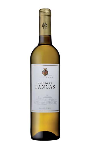Панкас Белое Сухое 0.75 л фото вино Pancas White Dry 0,75 л