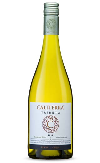 Винья Калитерра Совиньон Блан Трибуто 2017 0.75 л фото вино Vina Caliterra Sauvignon Blanc Tributo 2017 0,75 л