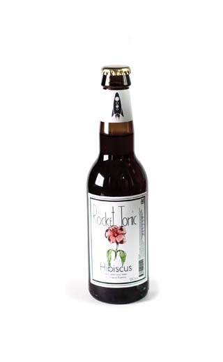 Рокет Гибискус 20 шт. 0.25 л фото тоник Rocket Hibiscus 0,25 л