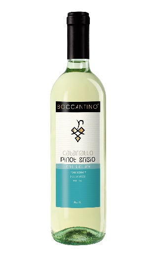Боккантино Катарратто Пино Гриджио Терре Сицилиане 2017 0.75 л фото вино Boccantino Catarratto Pinot Grigio Terre Siciliane 2017 0,75 л