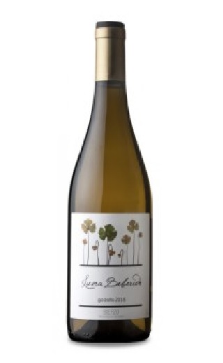 Луна Бебериде Биерсо Годельо 2017 0.75 л фото вино Luna Beberide Bierzo Godello 2017 0,75 л