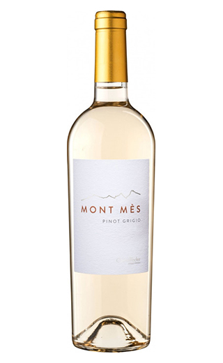 Кастельфедер Пино Гриджио Монт Мес 2017 0.75 л фото вино Castelfeder Pinot Grigio Mont Mes 2017 0,75 л