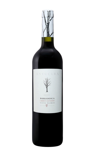Вино Barrandica Cabernet Sauvignon Mendoza 2016 0,75 л
