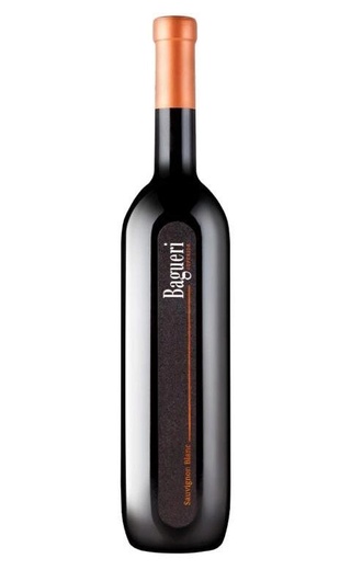 фото вино Klet Brda Bagueri Sauvignon Blanc 2021 0,75 л