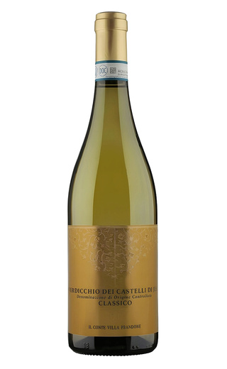 фото вино Il Conte Villa Prandone Verdicchio dei Castelli di Jesi 2021 0,75 л