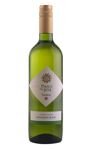 фото вино Terramater Paso Del Sol Sauvignon Blanc 2024 0,75 л