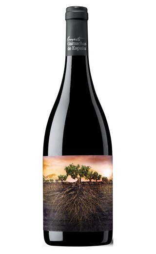 фото вино Vintae Luxury La Garnacha Olvidada de Aragon 2022 0,75 л