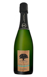 Игристое вино Marteaux Guillaume Le Metisse Extra Brut 2019&nbsp;1,5&nbsp;л