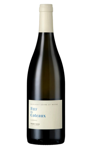 фото вино Domaine le Fay d'Homme Fief des Coteaux Gabbro 2022 0,75 л