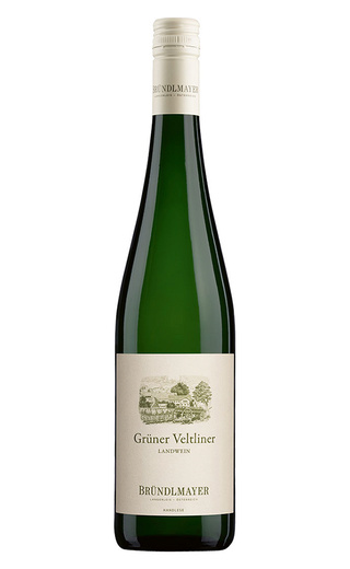 фото вино Brundlmayer Gruner Veltliner Landwein 2025 0,75 л
