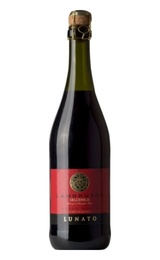Ламбруско Ermete Medici Lambrusco dell'Emilia red sweet 0,75 л