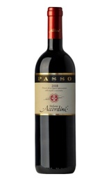 Вино Stefano Accordini Passo Rosso 2009 0,75 л