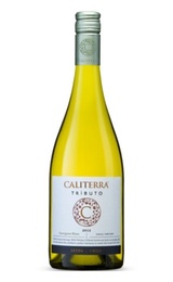 Вино Vina Caliterra Tributo Chardonnay Casablanca Valley 2012&nbsp;0,75&nbsp;л