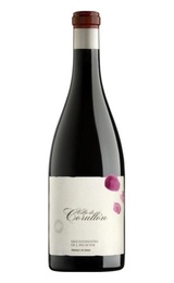 Вино Descendientes de Jose Palacios Villa de Corullon Bierzo DO 2013 0,75 л