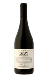 Вино Mendoza Trapiche Iscay Syrah Viognier Mendoza 2010 0,75 л