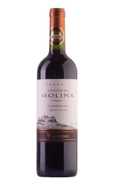 Вино San Pedro Castillo de Molina Reserva Carmenere 2010&nbsp;0,75&nbsp;л