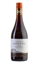 Вино San Pedro Castillo de Molina Reserva Pinot Noir 2011&nbsp;0,75&nbsp;л