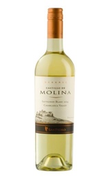 Вино San Pedro Castillo de Molina Reserva Sauvignon Blanc 2014 0,75 л