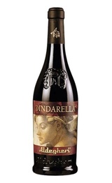 Вино Cantine Aldegheri Dindarella Rosso Veneto IGT 2009 0,75 л