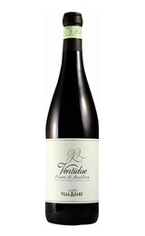 Вино Villa Raiano Ventidue Fiano di Avellino 2010 0,75 л