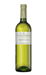Вино Codorniu Nuviana Chardonnay 2016 0,75 л