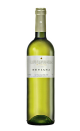 Вино Codorniu Nuviana Chardonnay 2017 0,75 л