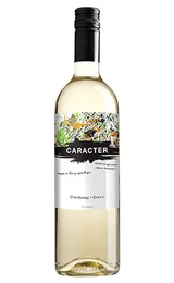 Вино Bodegas Santa Ana Caracter Chardonnay-Chenin 2018 0,75 л