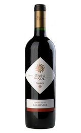 Вино Terramater Paso Del Sol Carmenere 2013 0,75 л