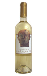 Вино Clos Quebrada De Macul Penalolen Sauvignon Blanc 2016 0,75 л