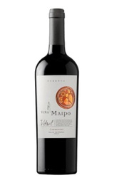 Вино Vina Maipo Vitral Carmenere Reserva 2017 0,75 л