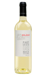 Вино Anna Spinato Diligo Pinot Grigio 2018 0,75 л