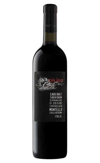 Анна Спинато Дилиго Каберне Совиньон 2015 0.75 л фото вино Anna Spinato Diligo Cabernet Sauvignon 2015 0,75 л