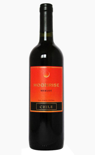 Агирре Мунрайз Мерло 0.75 л фото вино Aguirre Moonrise Merlot 0,75 л