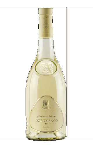 фото вино Avanzi Cav Giovanni Dorobianco 0,75 л