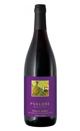 Вино Castellani Il Valore Pinot Nero Delle Venezia 2017 0,75 л