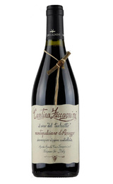 Вино Zaccagnini Tralcetto Montepulciano d'Abruzzo 2017 0,75 л