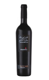 Вино Roeno Enantio Valdadige Terradeiforti 2015 0,75 л