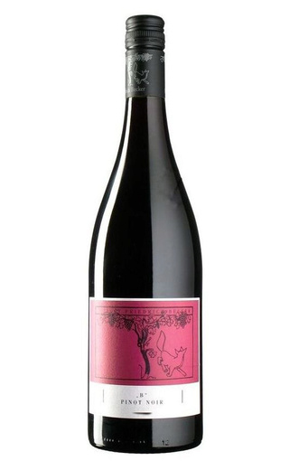 Фридрих Беккер Б Шпетбургундер 2013 0.75 л фото вино Friedrich Becker B Pinot Noir 2013 0,75 л