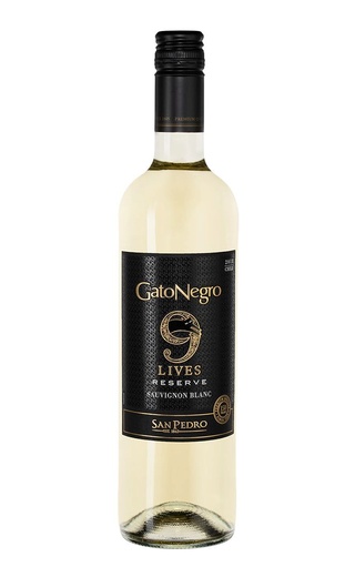 фото вино San Pedro Gato Negro 9 Lives Sauvignon Blanc Reserve 2019 0,75 л