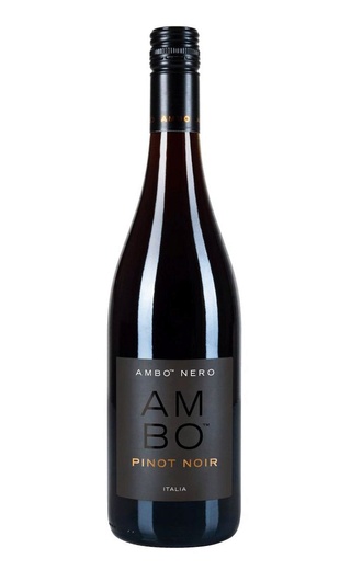 Амбо Неро Пино Нуар 2017 0.375 л фото вино Ambo Nero Pinot Noir 2017 0,375 л