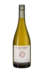 Вино Vina Caliterra Chardonnay Tributo 2017 0,75 л