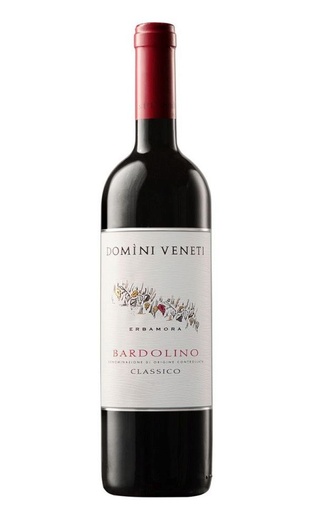 фото вино Domini Veneti Bardolino Classico 2019 0,75 л