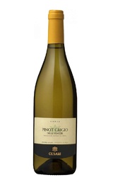 Вино Gerardo Cesari Salvalai Pinot Grigio 2018 0,75 л