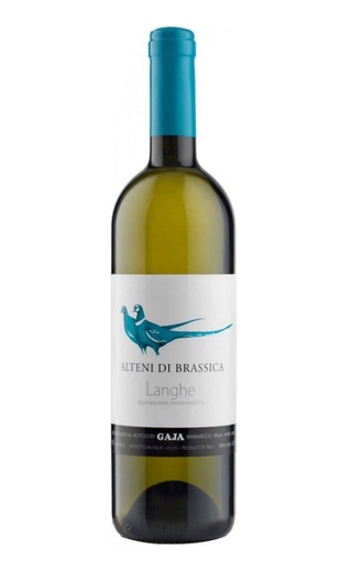 Анжело Гайя Альтени ди Брассика 2017 0.75 л фото вино Angelo Gaja Alteni di Brassica 2017 0,75 л