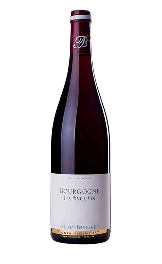Ален Бюрге Бургонь Руж Ле Пэнс Вин 2015 0.75 л фото вино Alain Burguet Bourgogne Rouge les Pince Vin 2015 0,75 л
