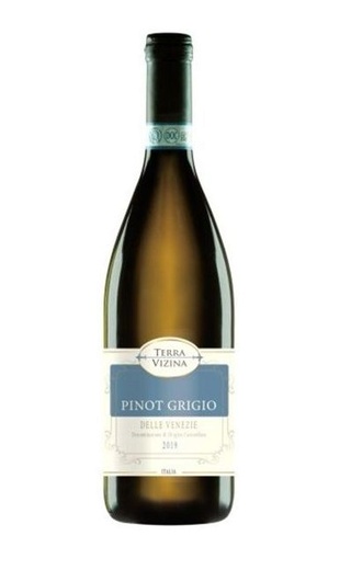 Казере Терра Вицина Пино Гриджио делле Венецие 2019 0.75 л фото вино Casere Terra Vizina Pinot Grigio delle Venezie 2019 0,75 л