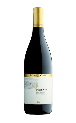 Кавит Боттега Винай Пино Неро 2017 0.75 л фото вино Cavit Bottega Vinai Pinot Nero 2017 0,75 л