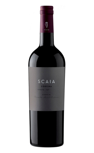 фото вино Tenuta Sant'Antonio Scaia Corvina 2015 0,75 л