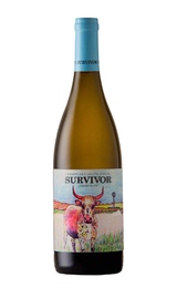 Вино Survivor Chenin Blanc 0,75 л