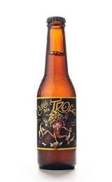 Пиво Dubuisson Cuvee Des Trolls 24&nbsp;шт.&nbsp;0,33&nbsp;л